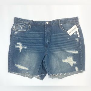 Blank NYC High Waisted Denim Distressed Shorts Size 20W NWT